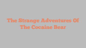 The Strange Adventures Of The Cocaine Bear
